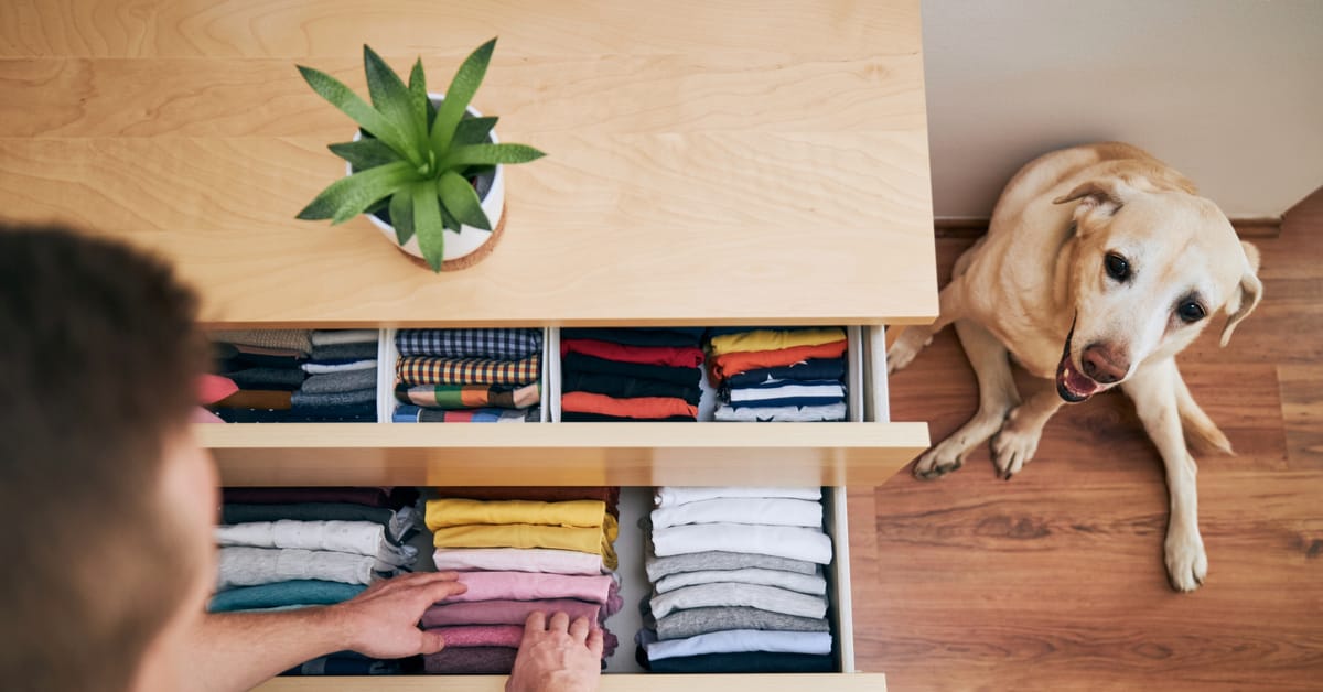 pet supply organizer