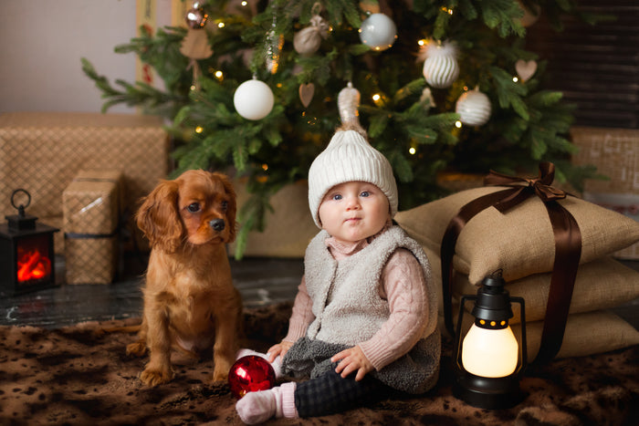 Why Dogs Are (Still) A Man's (Or Woman's) Best Friend