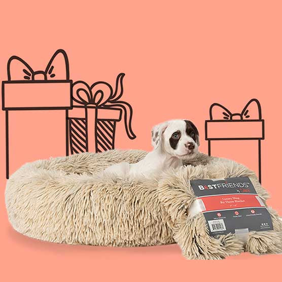 bundle dog bed and blanket deals