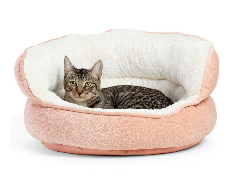 comfy cat bed