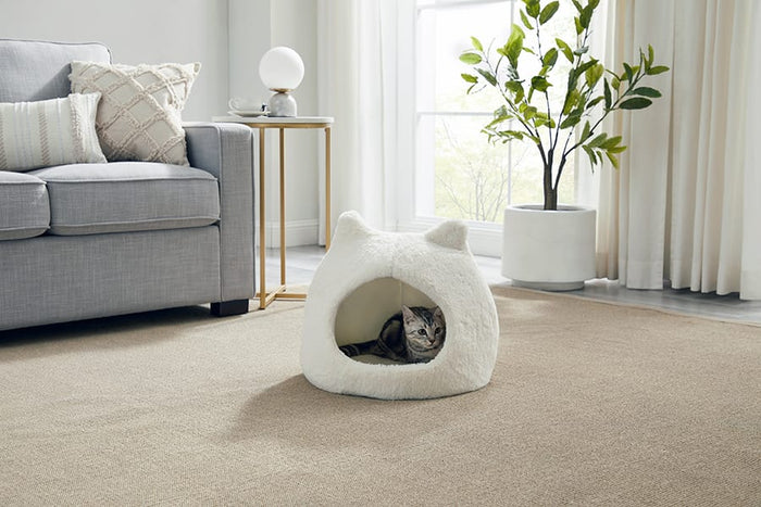Why Your Private Kitty Could Benefit from an Enclosed Cat Bed