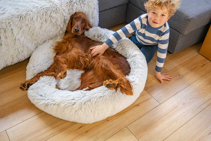 dog bed covers