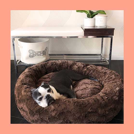 shop calming dog beds