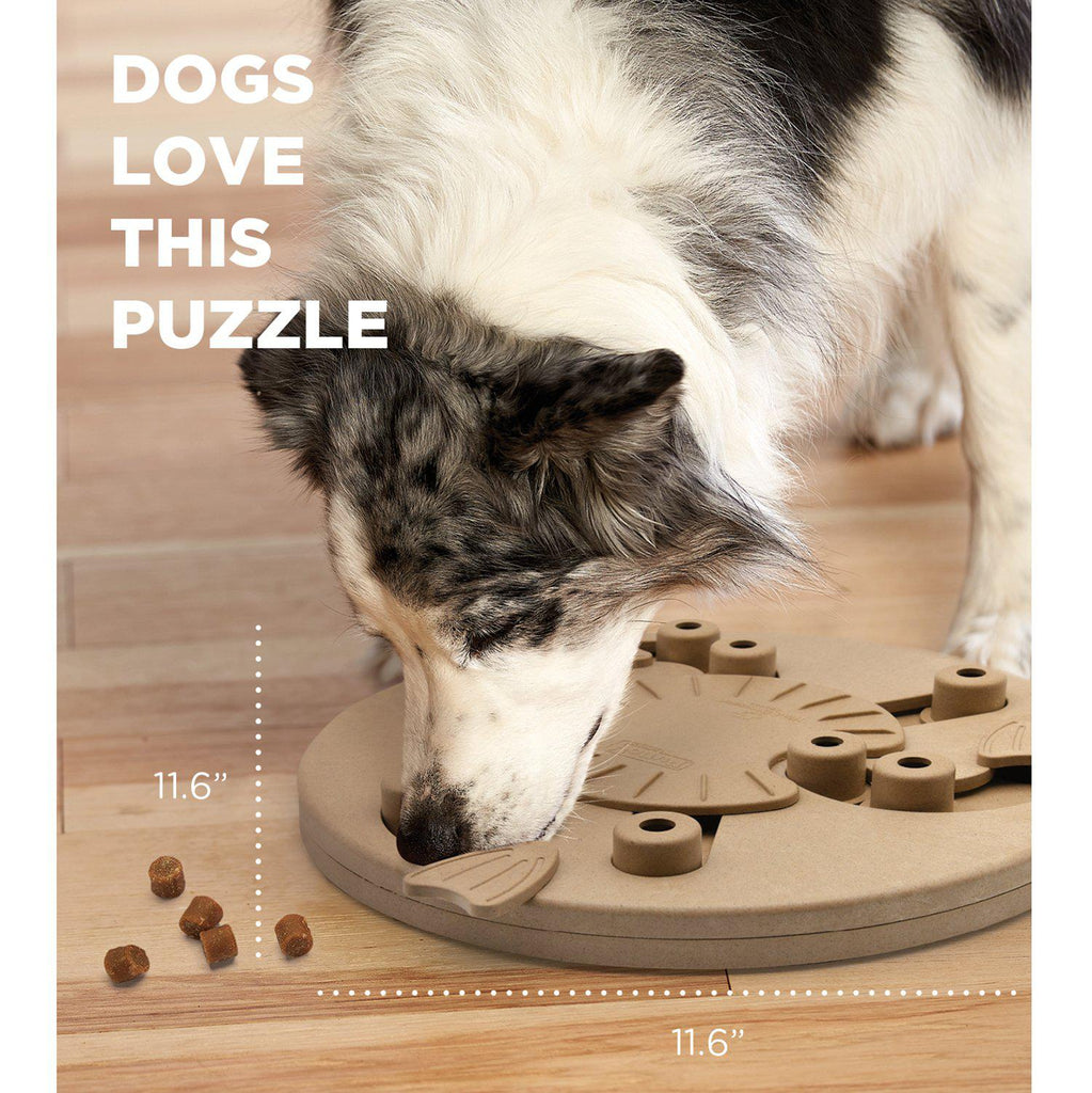 Interactive Dog Puzzle Game Toys - Dogs Smart Nina Ottosson by Outward Hound