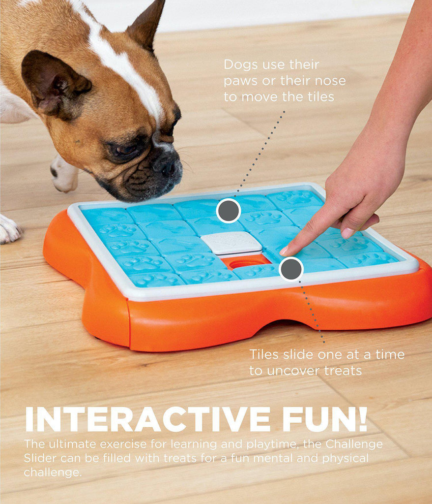 Nina Ottosson by Outward Hound Dog Worker Interactive Dog Treat Puzzle