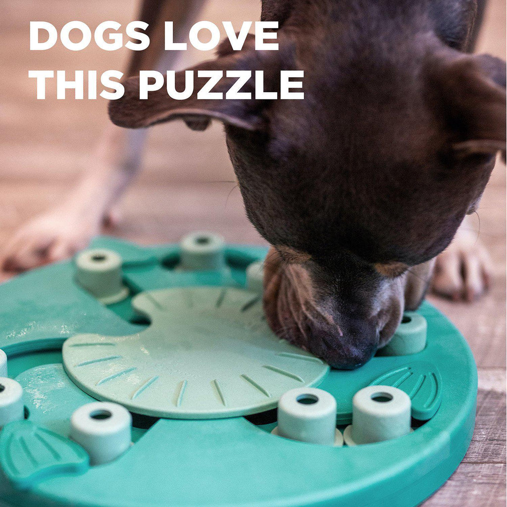 Boredom Busters- Nina Ottosson Puzzle's – PAWSITIVELY Pet and Training
