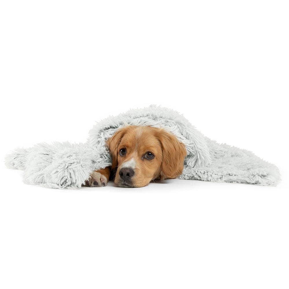 Calming Pet Throw Blanket in Shag Fur - 30"x40"