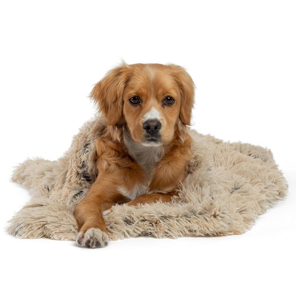 Calming Pet Throw Blanket in Shag Fur - 30"x40"