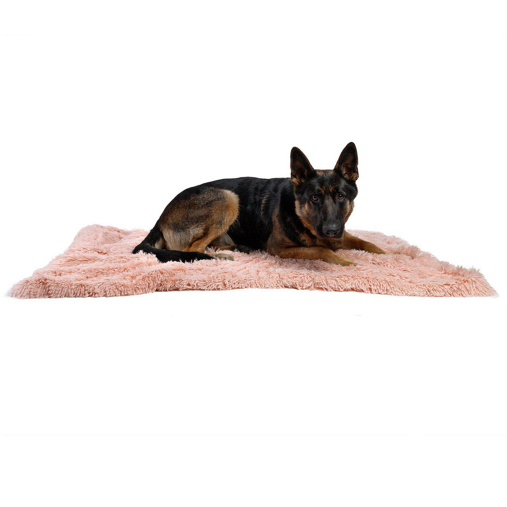 Calming Pet Throw Blanket in Shag Fur - 40"x50"