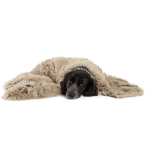 Calming Pet Throw Blanket in Shag Fur - 40"x50"