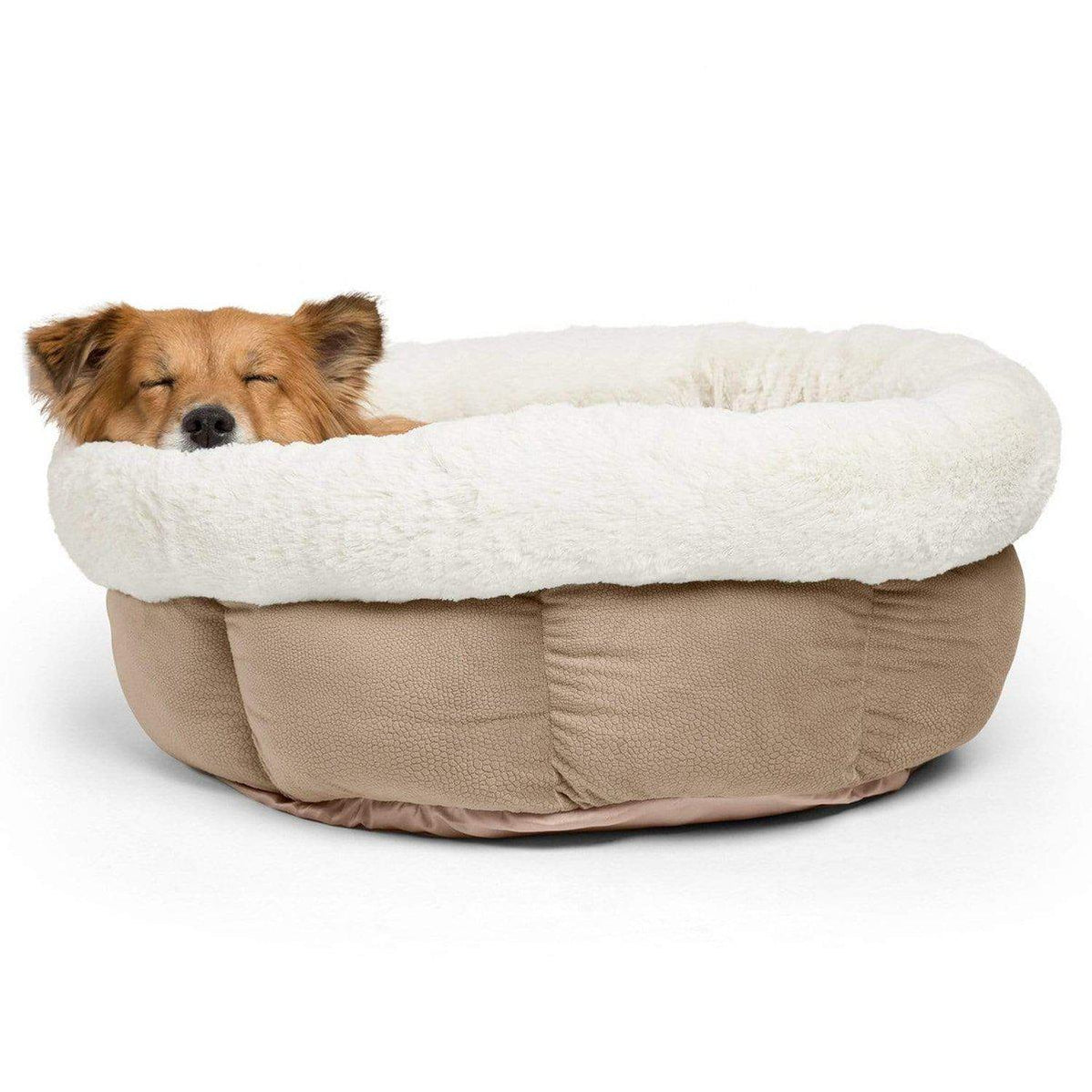 Cozy Ilan Cuddle Cup Cuddler Dog Bed - Jumbo Size | Best Friends by Sheri