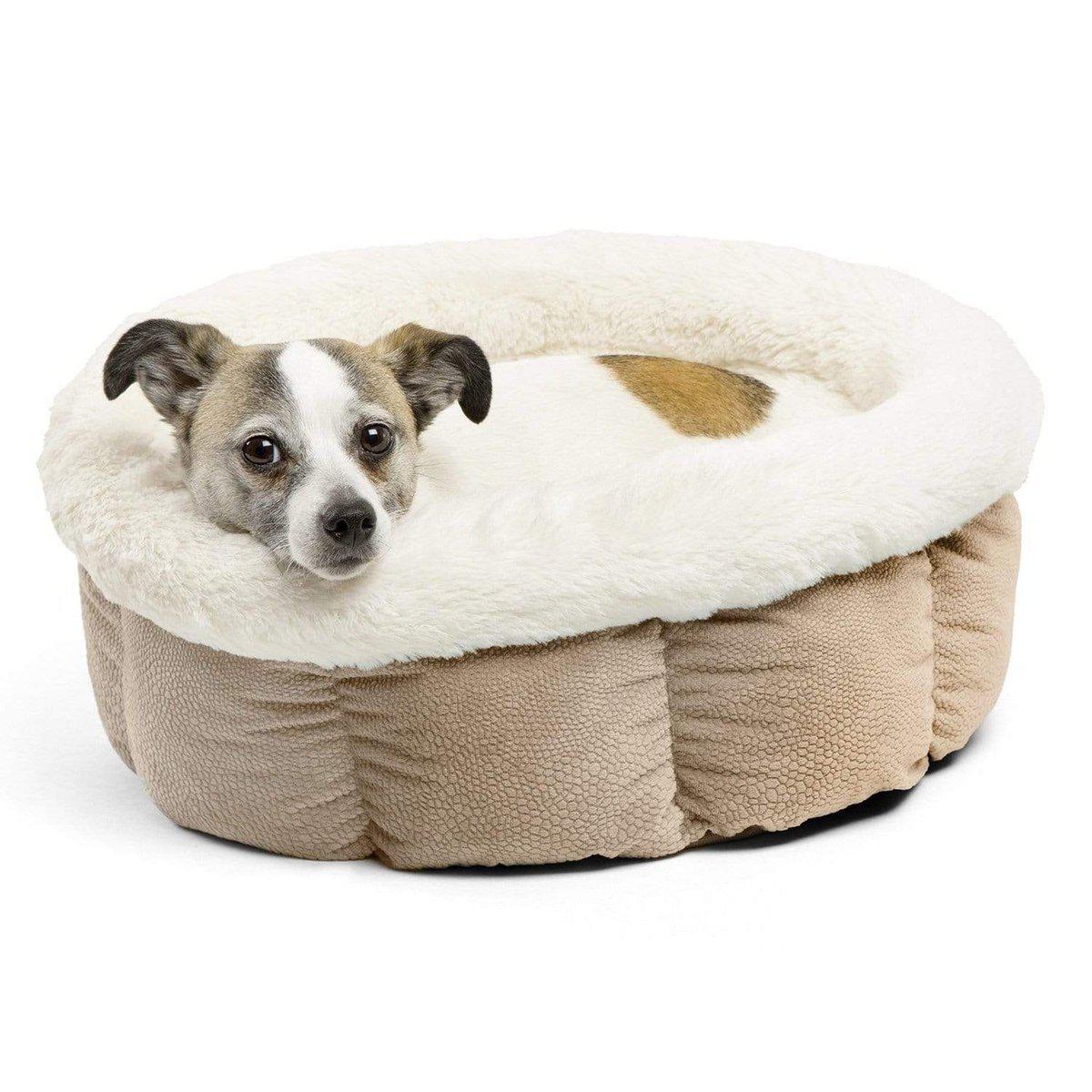 Cozy Ilan Cuddle Cup - Standard | Best Friends by Sheri
