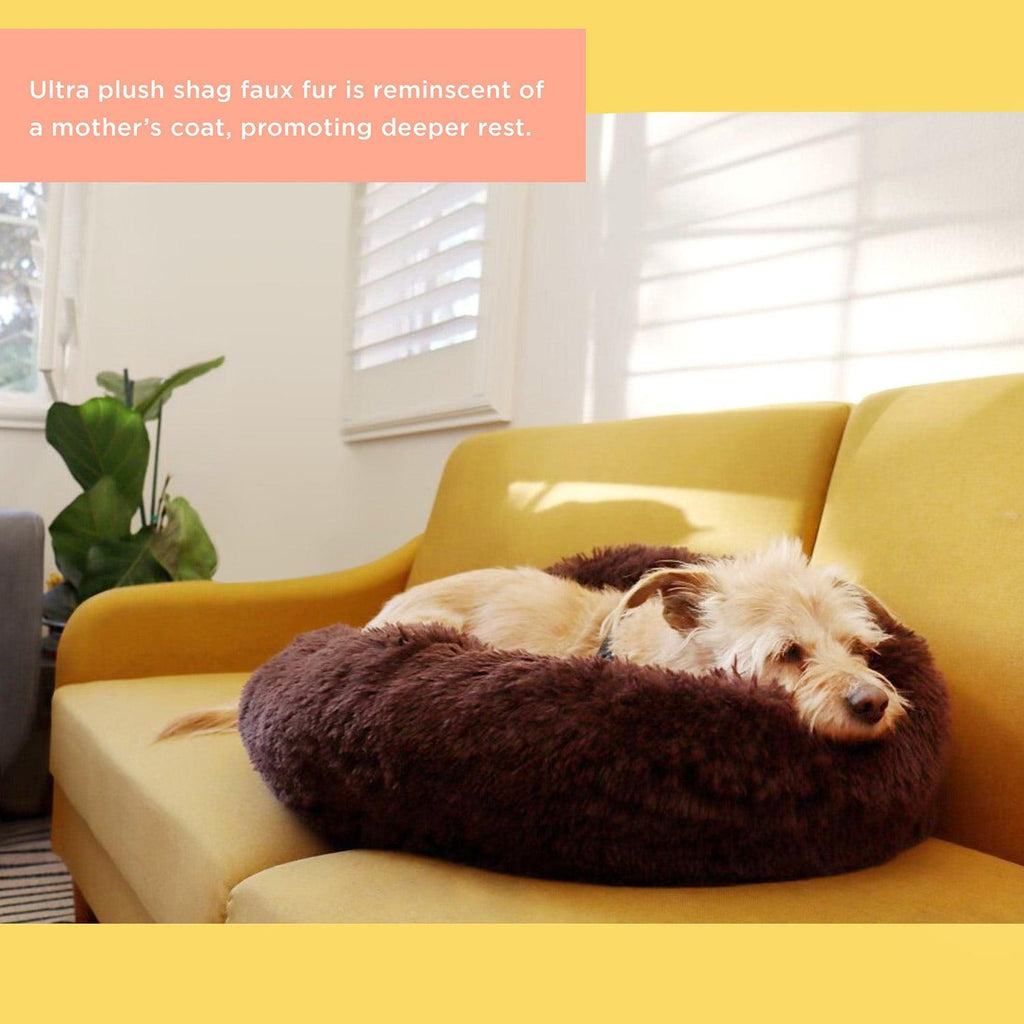 BE COOL !  Pets, Designer dog clothes, Designer dog beds