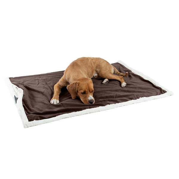 Ilan Microfiber Vegan Fur Pet Blanket - 40"x50"