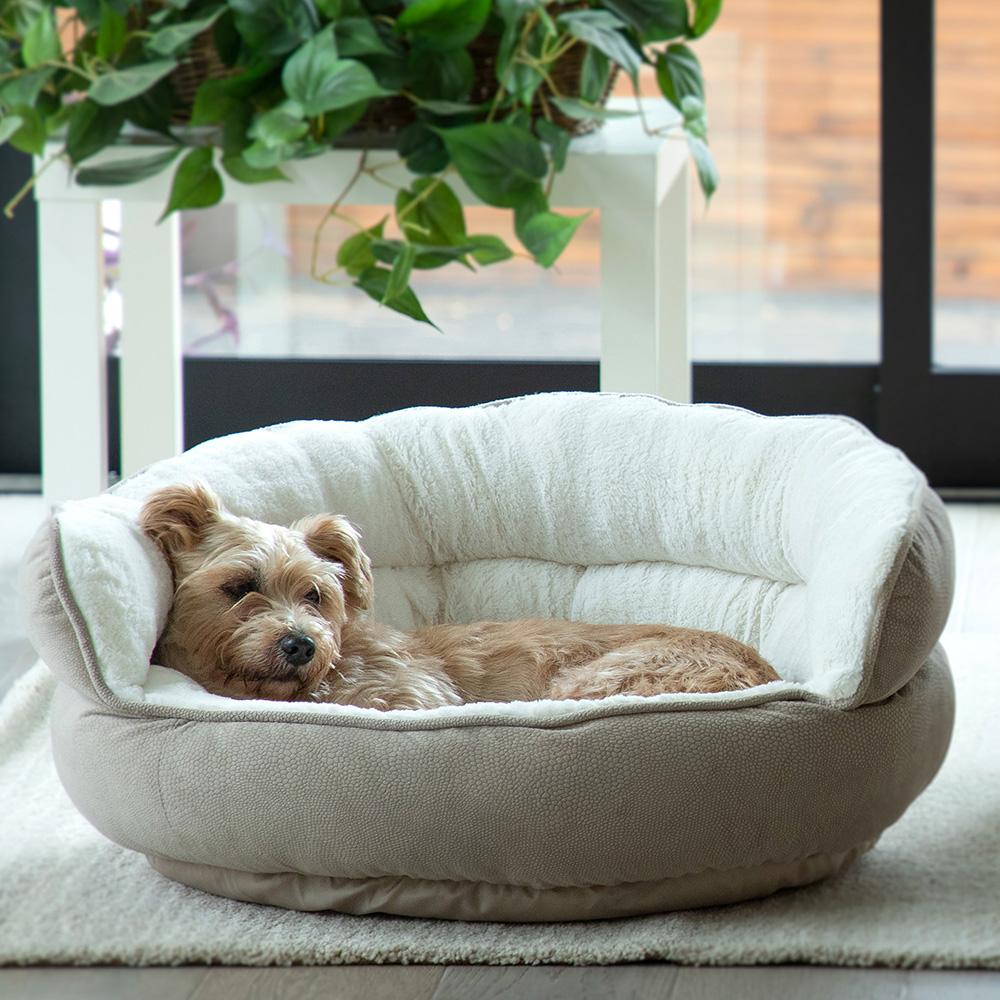 beauty and the beast dog bed