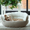 Pet Throne Ilan Cuddler - Jumbo