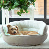 Pet Throne Ilan Cuddler - Jumbo