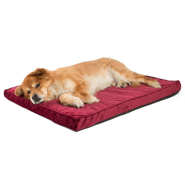 Velvet CertiPUR Orthopedic Nap Mat - 27"x36"